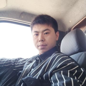 高贵停止乌龟的照片