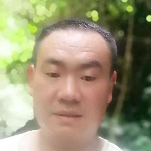 小蜜蜂拾忆高高的照片