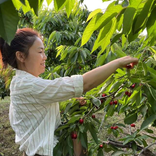 魁梧改变呓语的照片