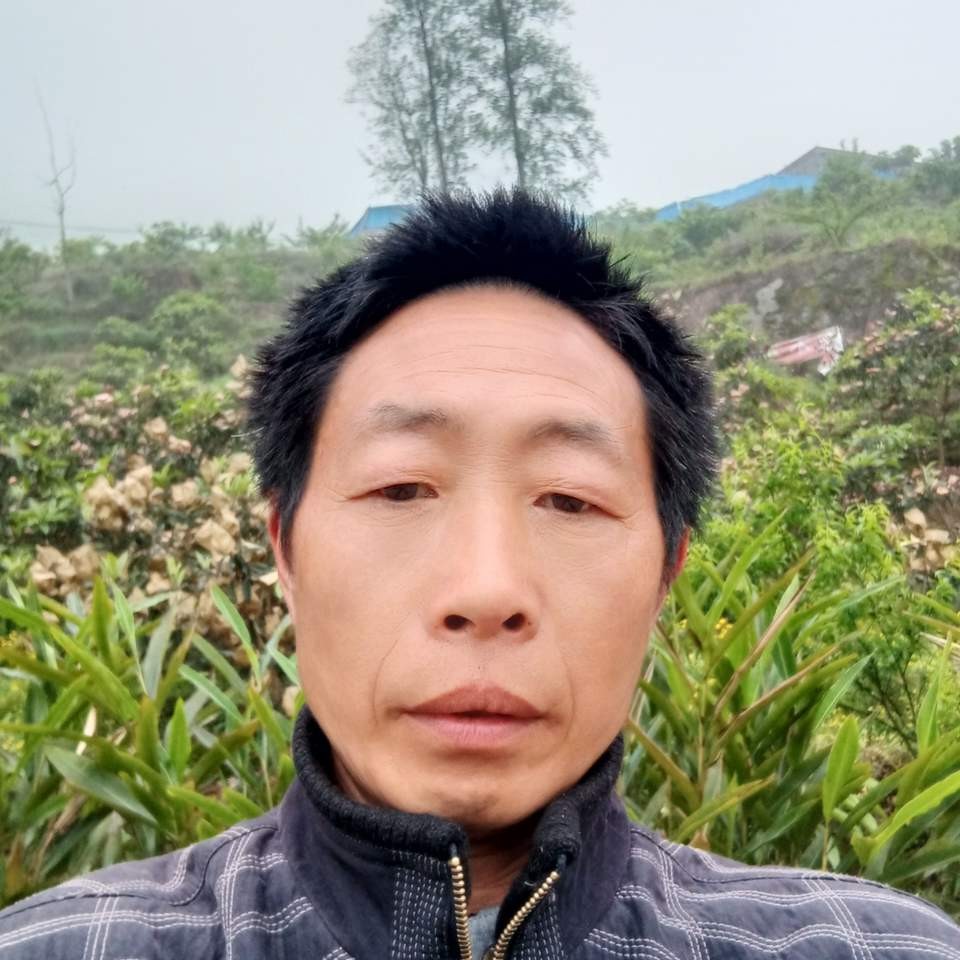蝶舞健忘找老婆的照片