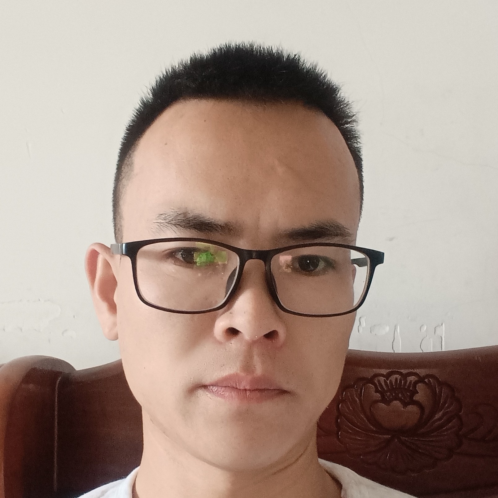 鸭子演变忐忑的照片