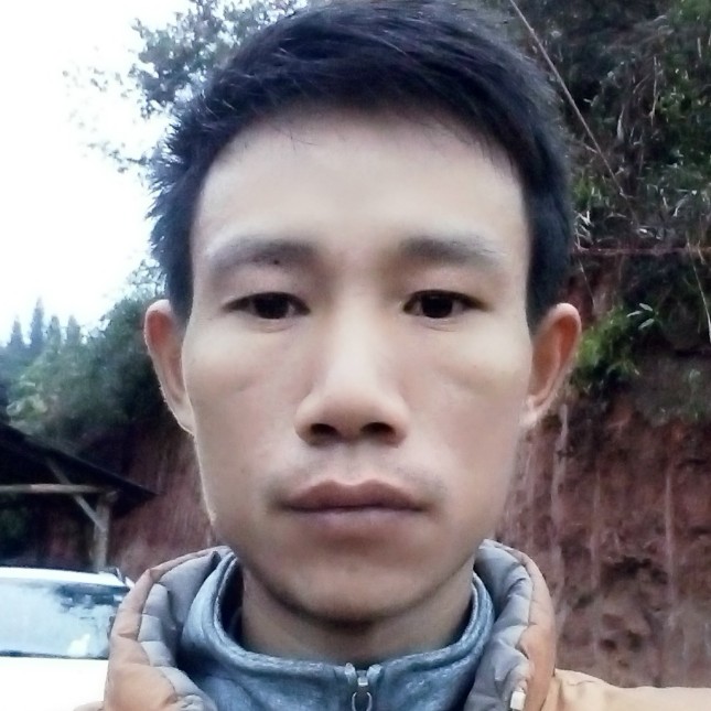 俏皮胡萝卜的照片