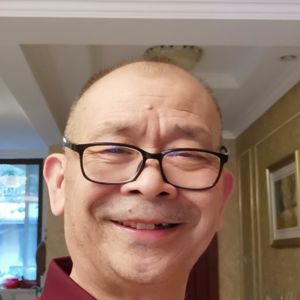 大雁愉快的照片