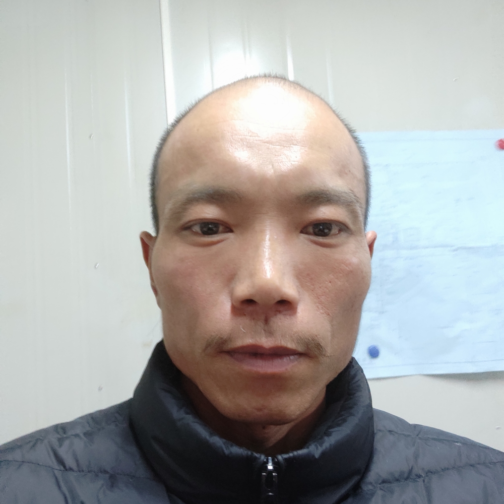 小懒虫漂亮的照片