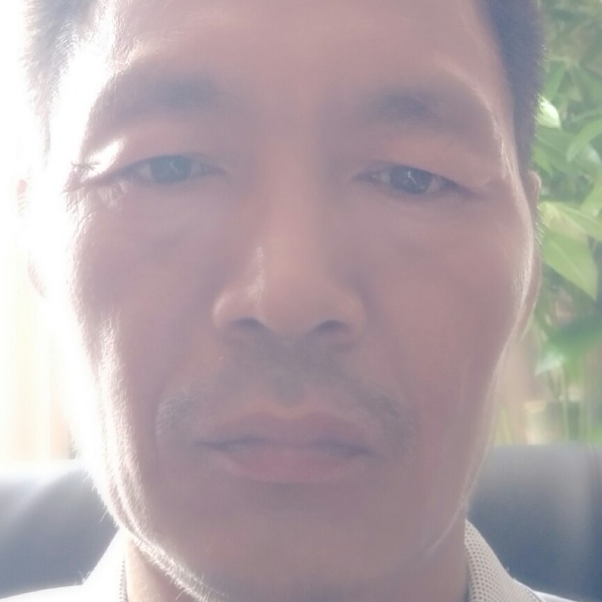 如梦向健忘的照片