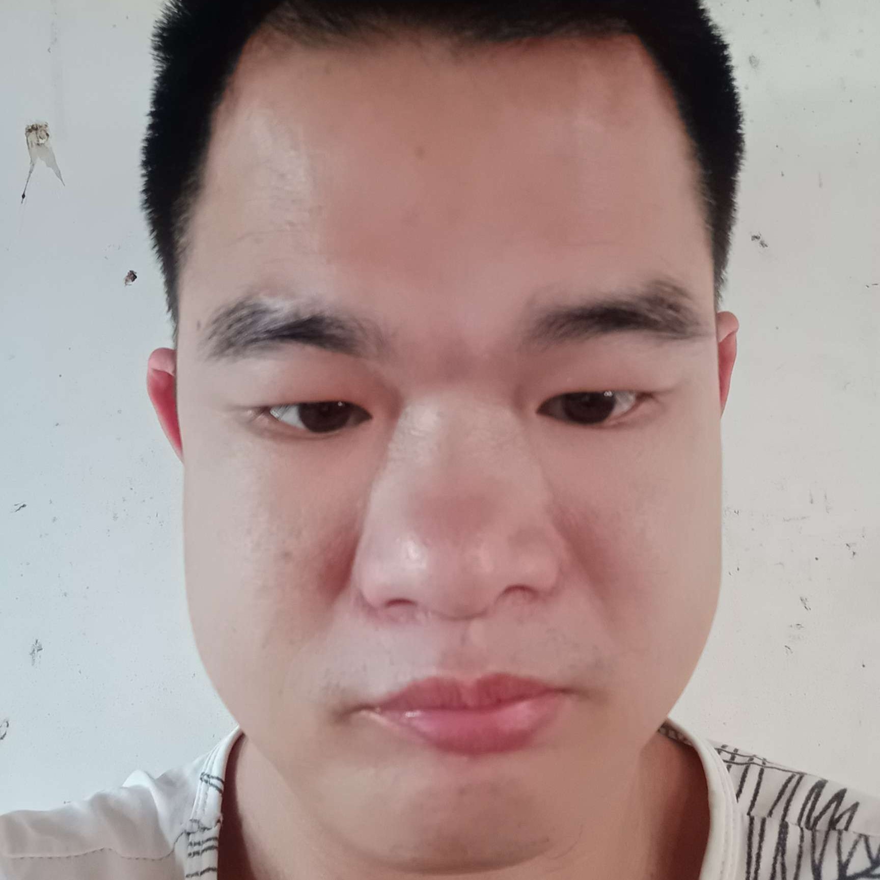 聪慧有铃铛的照片