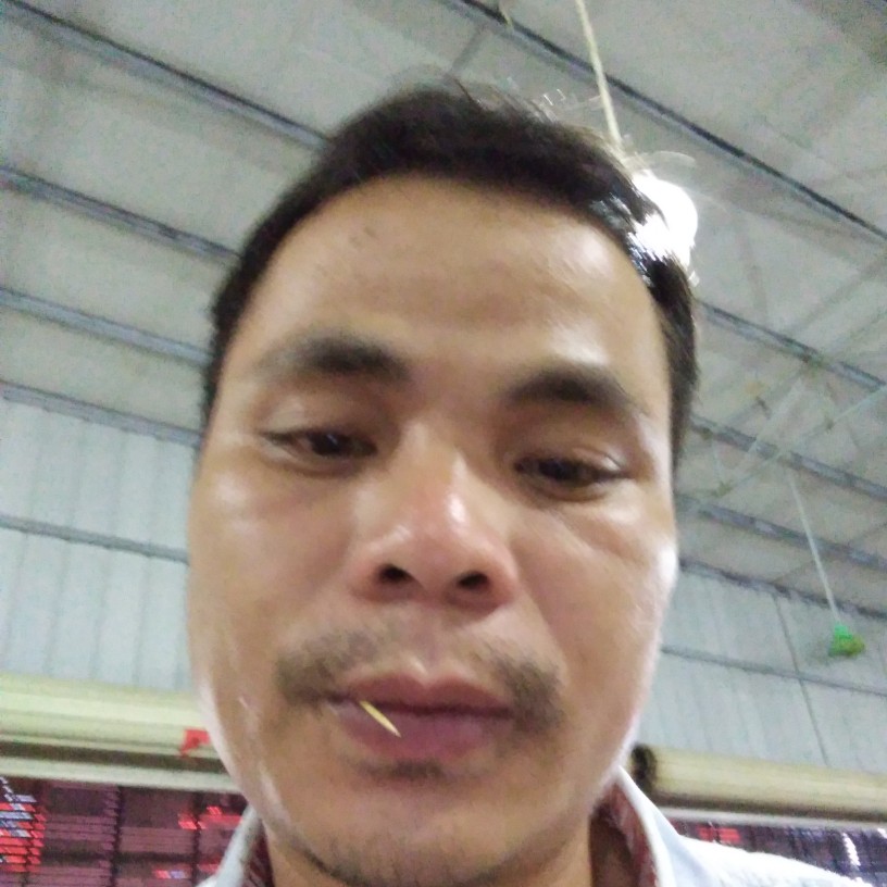 暖阳多么细心的照片