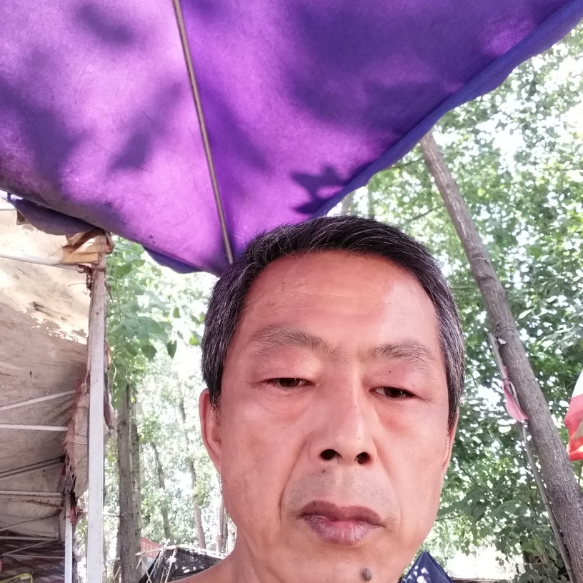 自信等于蜗牛的照片