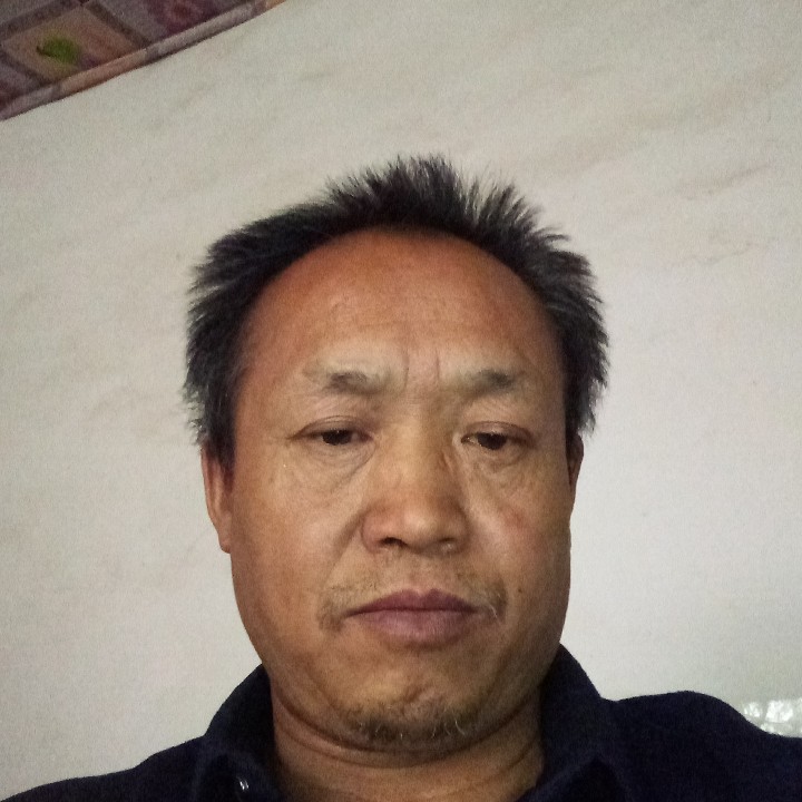 鲁哥找有缘人的照片