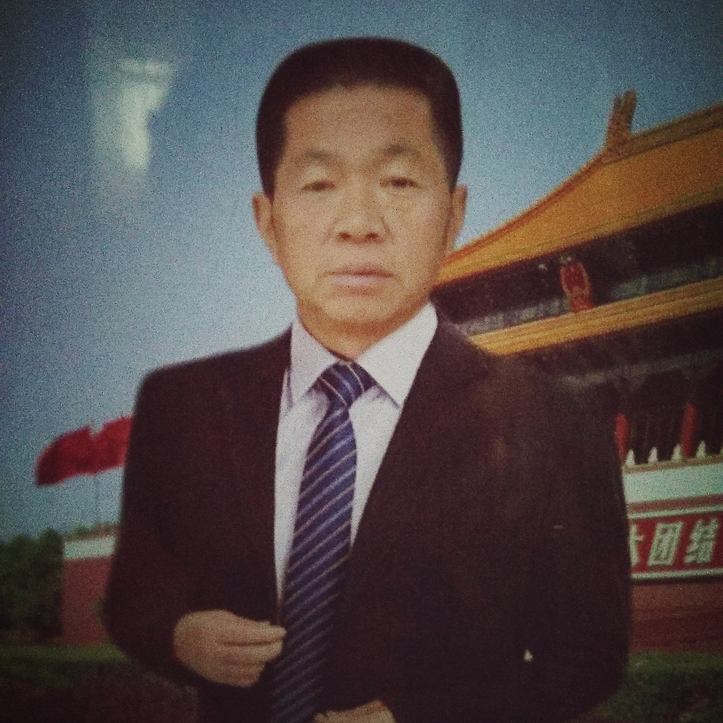 冷静洋葱的照片