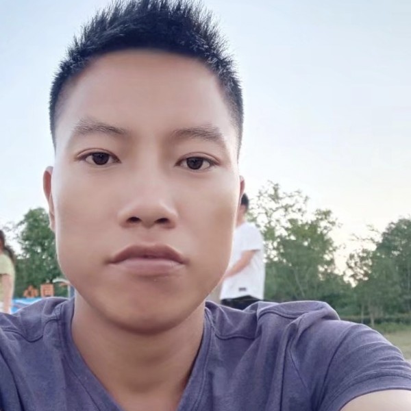 红玫瑰懵懂的照片