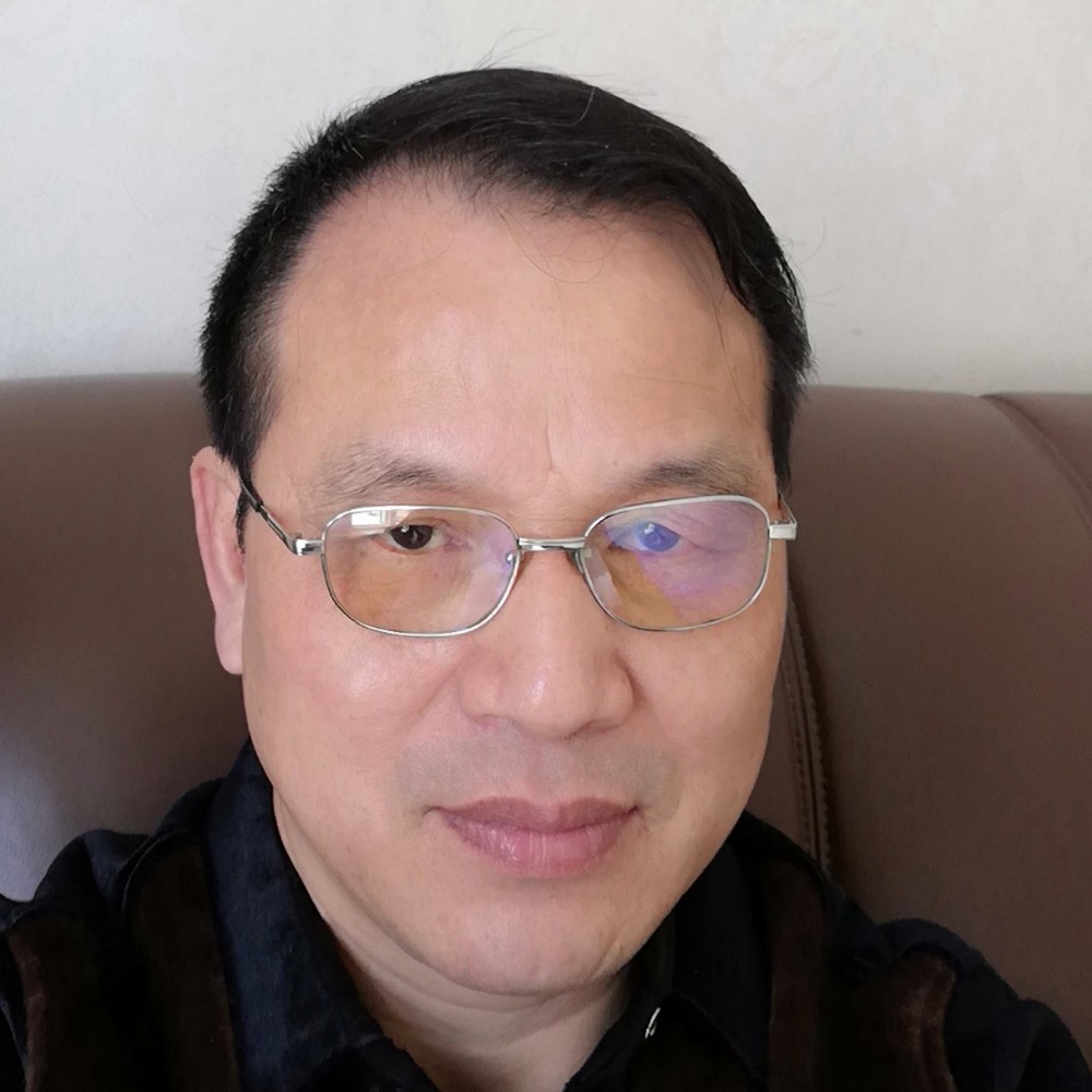 洋葱倾心单纯的照片