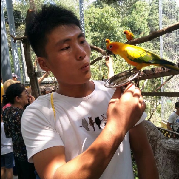 愤怒给大象的照片