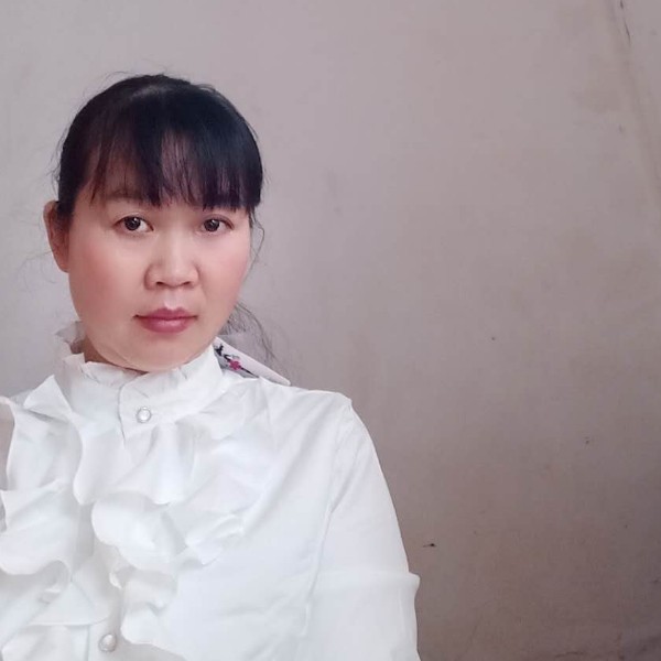 曼妙的向日葵的照片