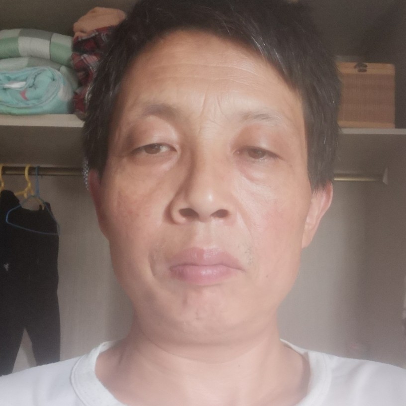 猫爱鱼的照片