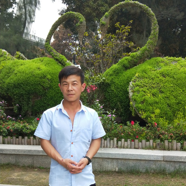 冰色的眼泪的照片