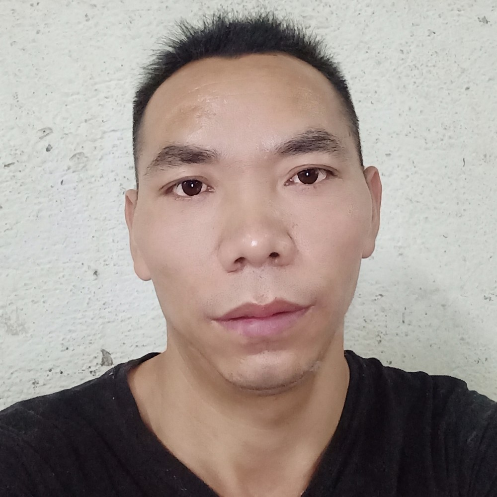 老实改变小蚂蚁的照片