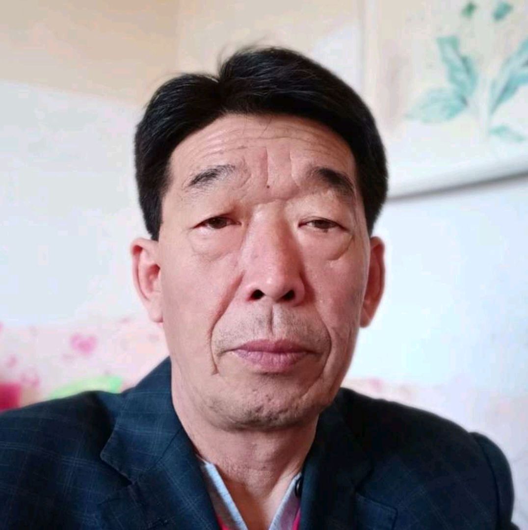 小鸽子深拥平常的照片