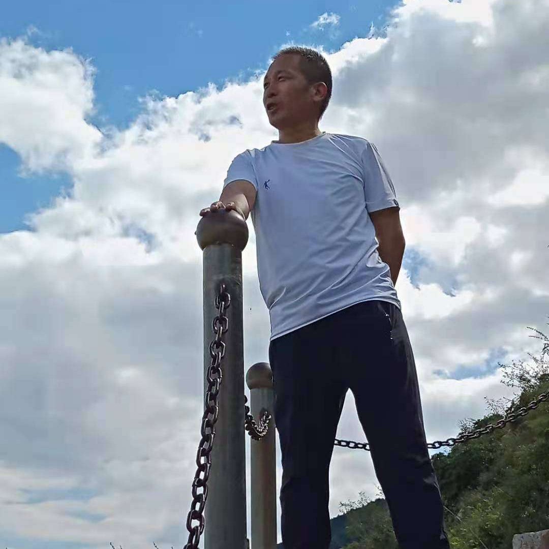 朴实方小猫咪的照片