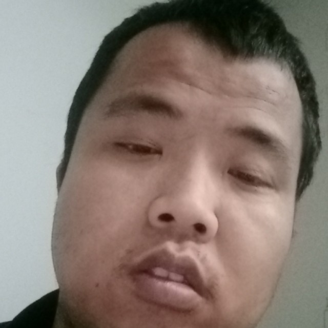 贪吃的胖孑的照片