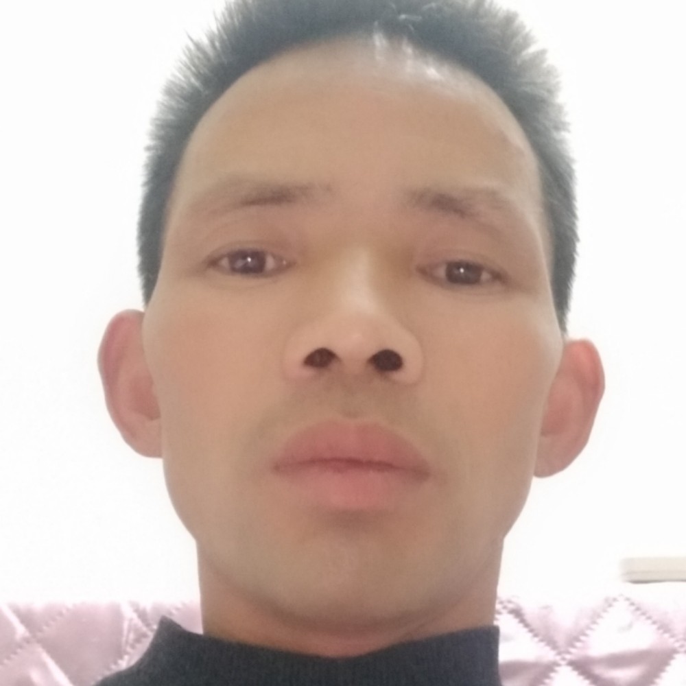 粗心便当的照片
