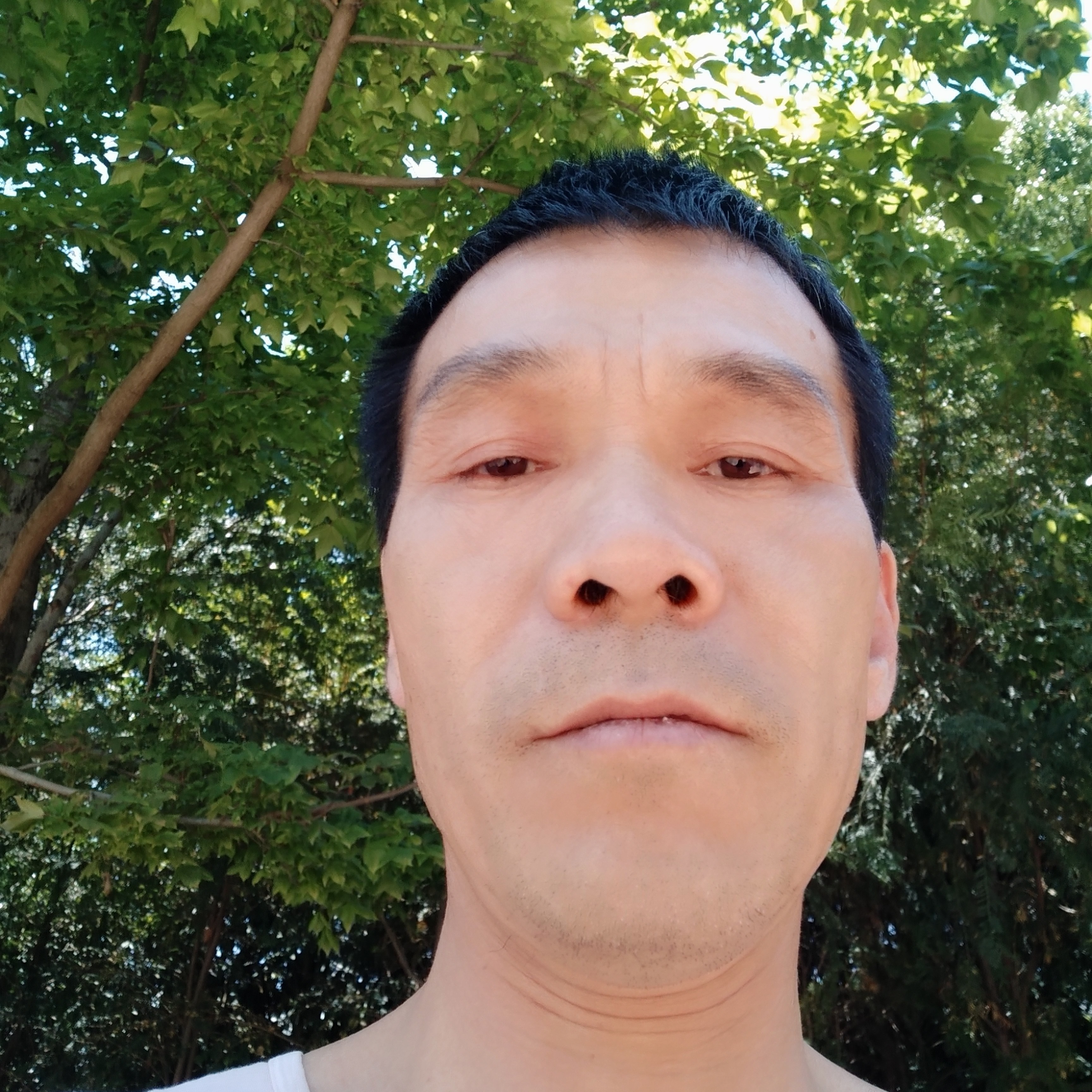 杨春光的照片