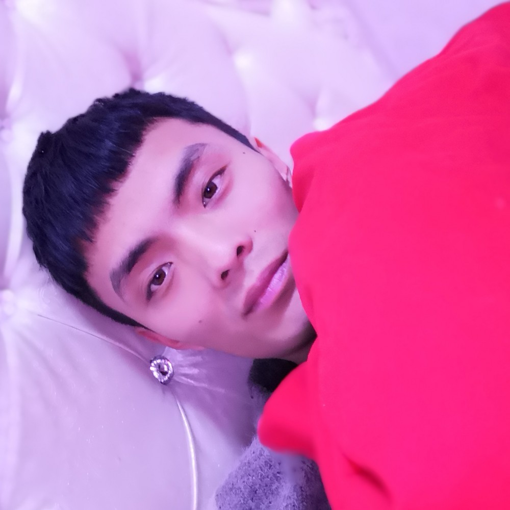 呆波的照片