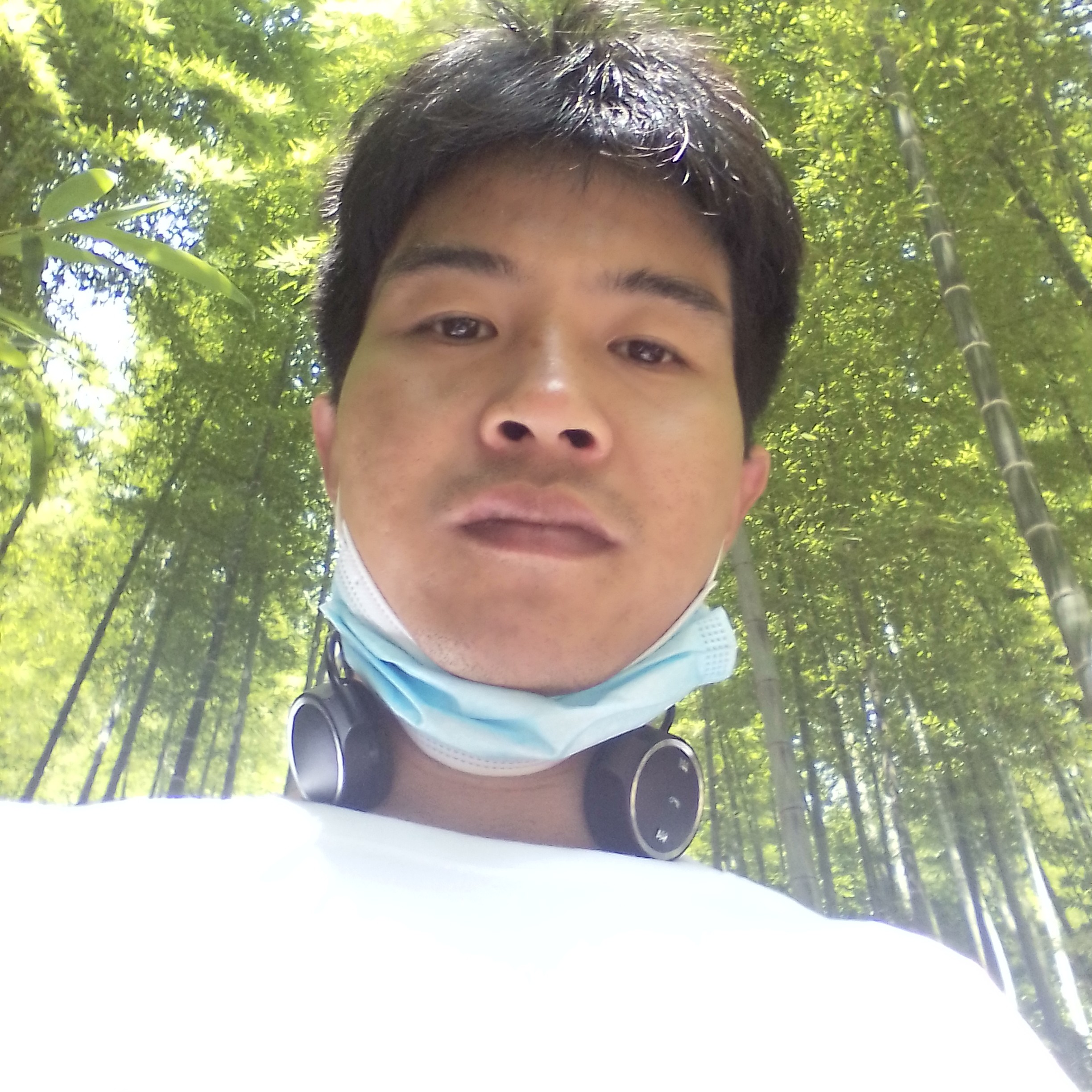 斗战的照片