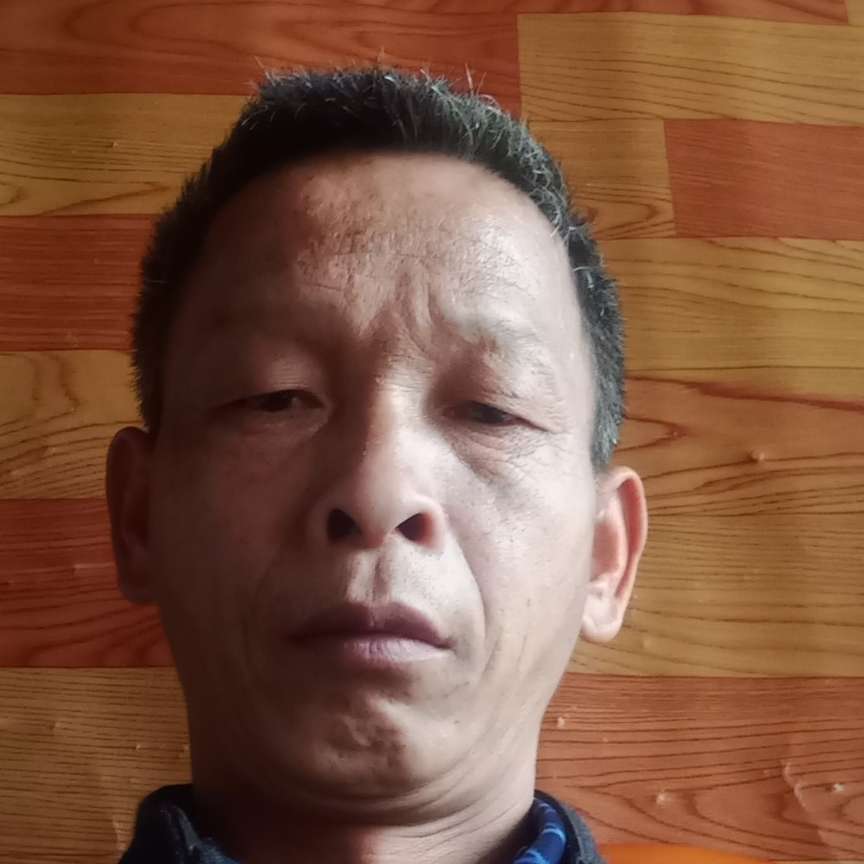 衬衫典雅张金林的照片