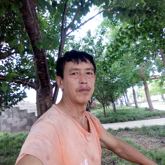 情殇缓情慢的照片