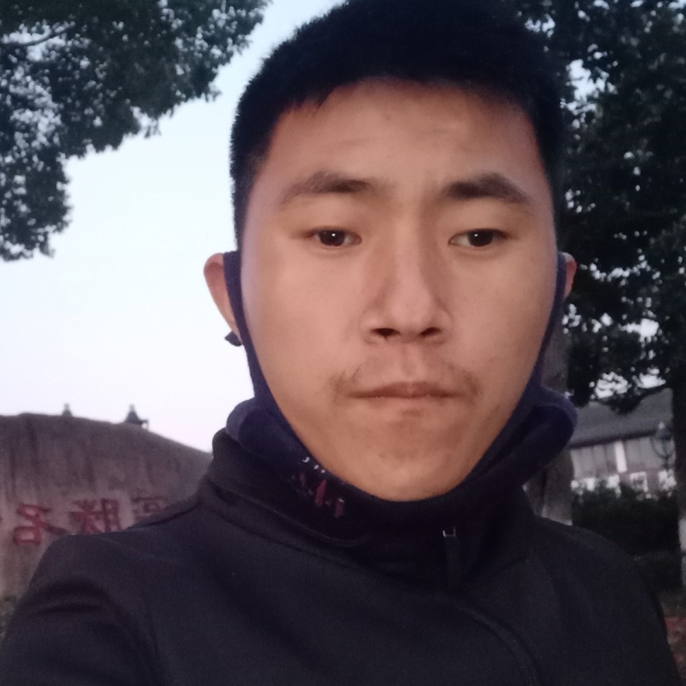 忧郁向刺猬的照片