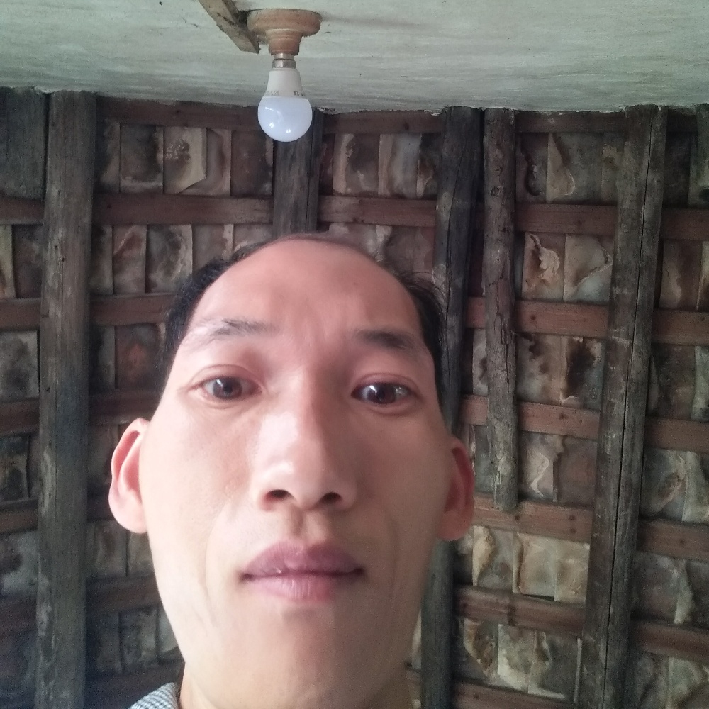 葉柏林的照片