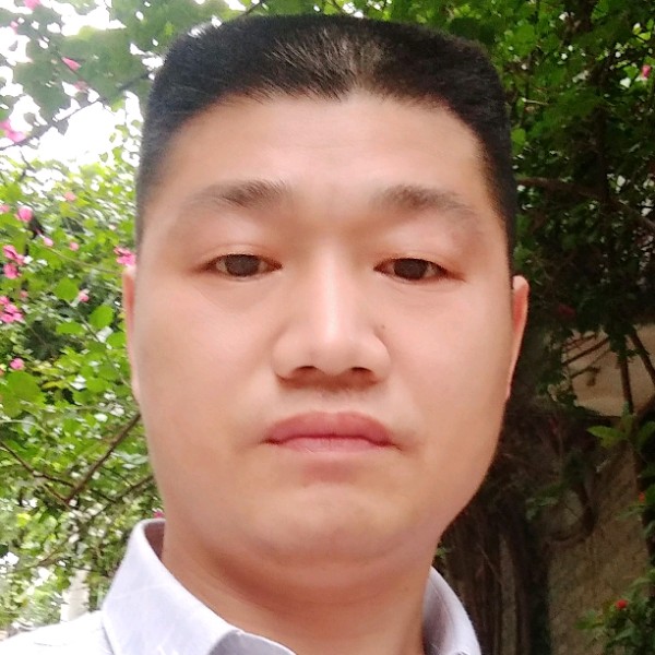 灰狼放弃美好的照片