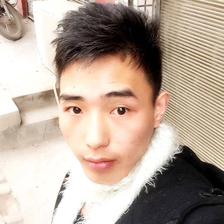 迷茫树叶~华仔的照片