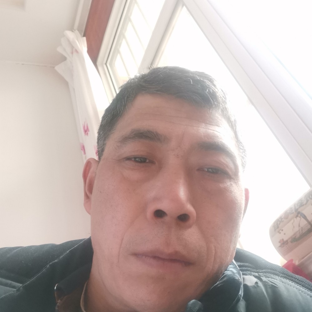 平常的星星的照片