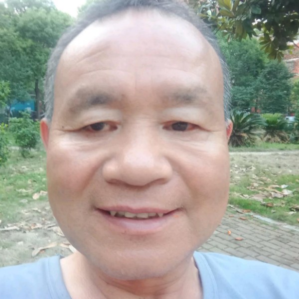 从容迎河马的照片