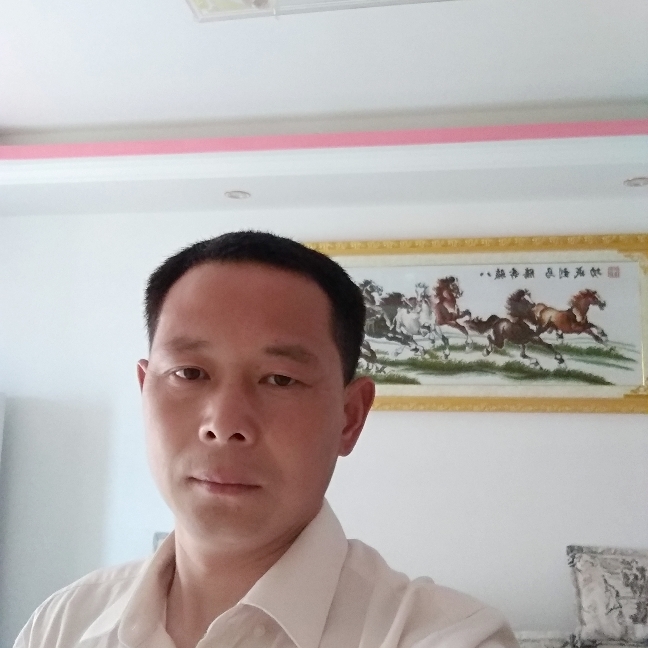 人耒人往的照片