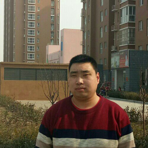 长久相伴的照片
