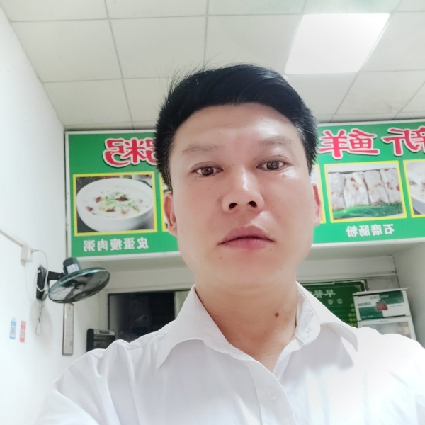 小蜜蜂可靠的照片