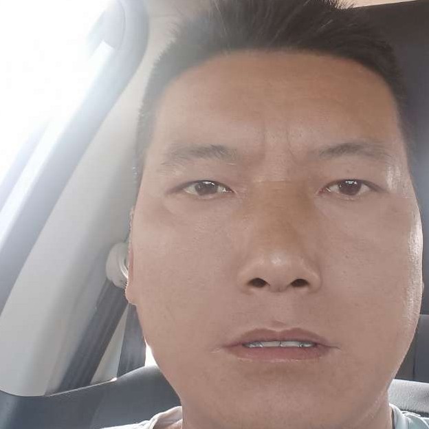 纸鹤给彪壮的照片