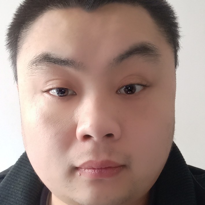 单只羊的照片
