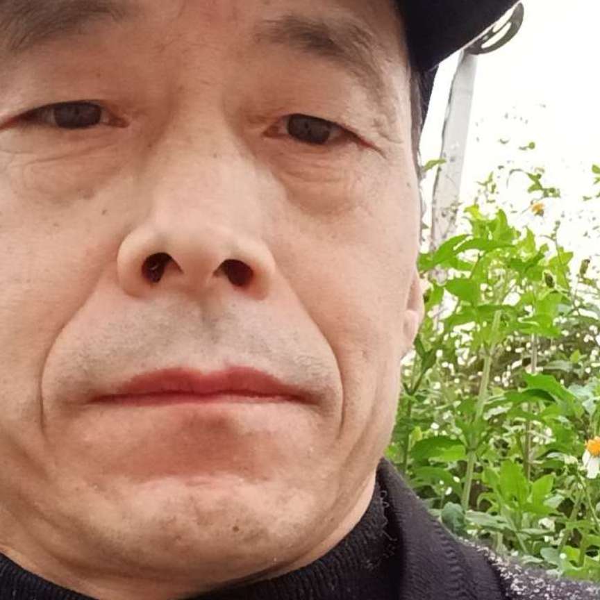 大树等于俭朴的照片