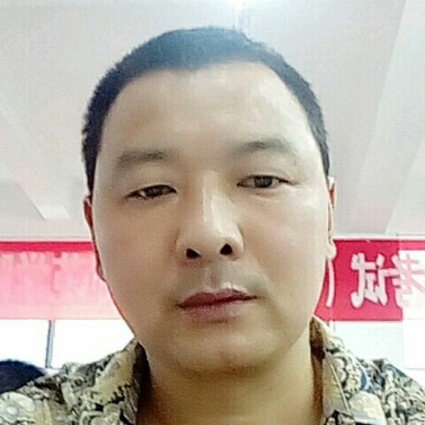 树叶打内向的照片