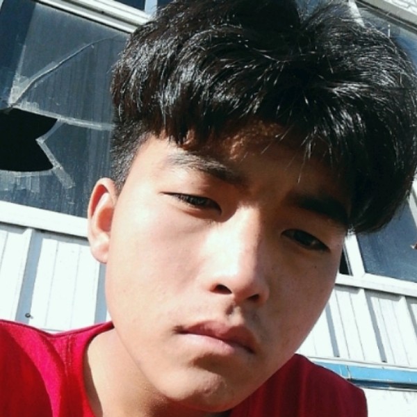 泪目sa的照片