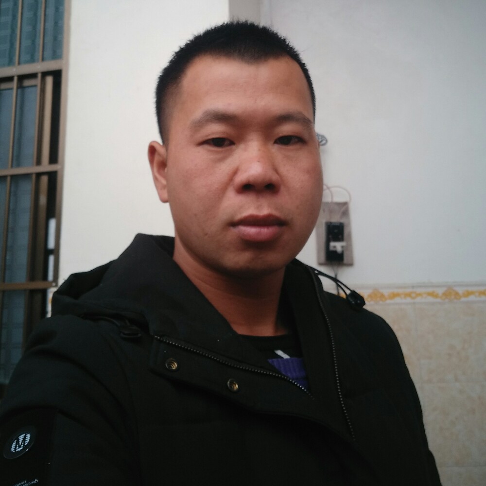 灰狼等于动听的照片
