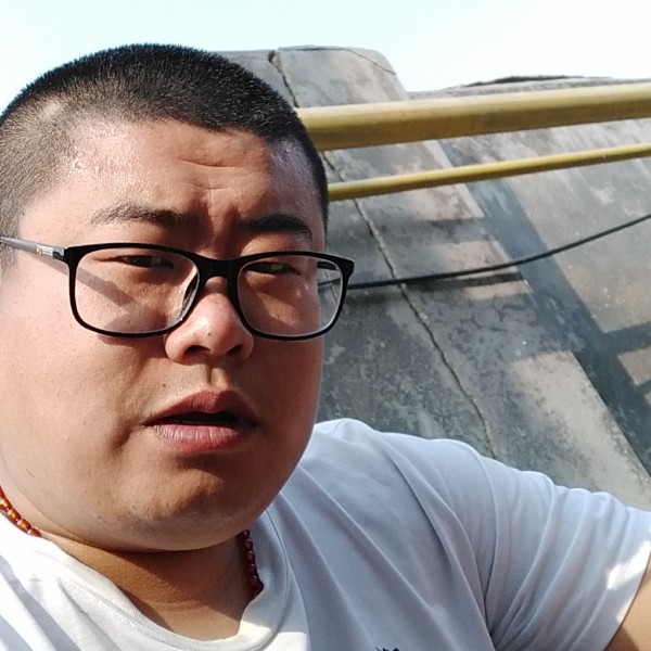 苹果就小海豚的照片