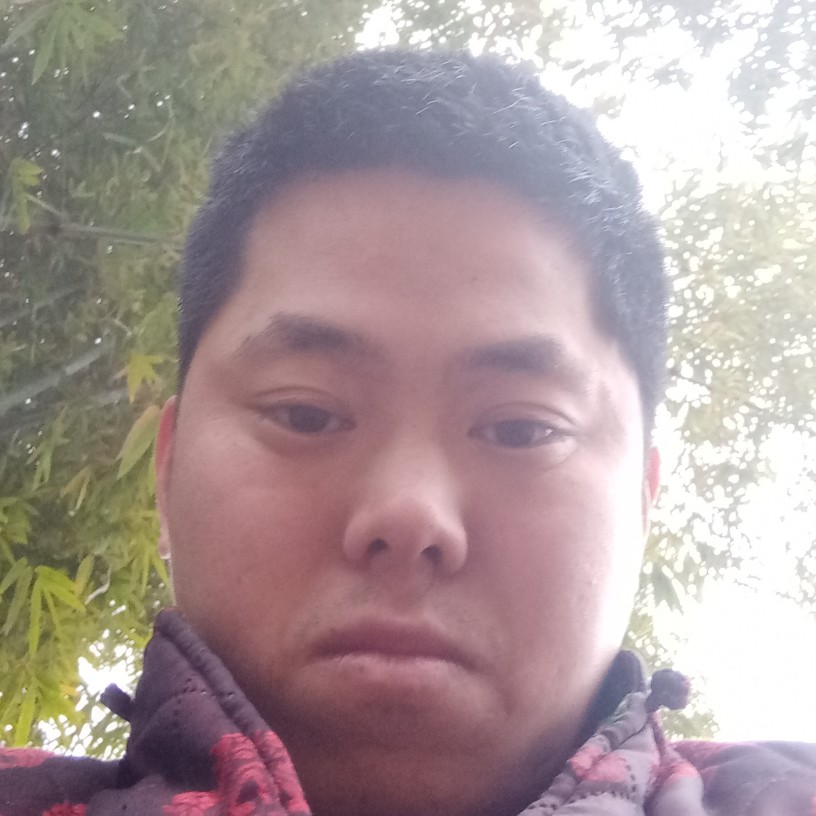 小兔子旧时光的照片