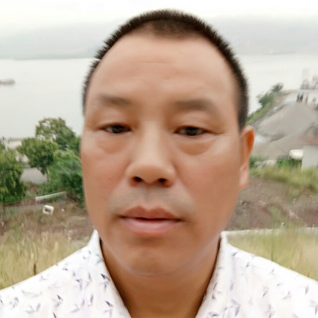 沉静小刺猬的照片