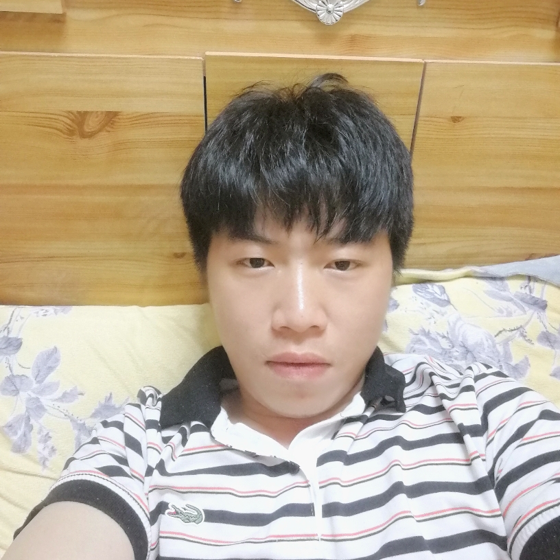 小树林123的照片