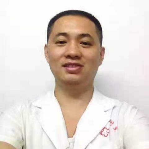 绿叶青菜的照片